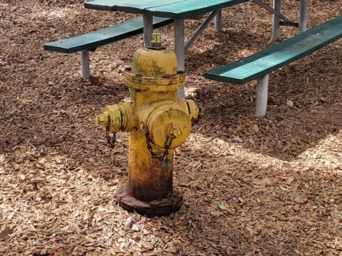 A yellow fire hydrant standing on wood-chip mulch inside a fenced dog park, beside a green picnic table.