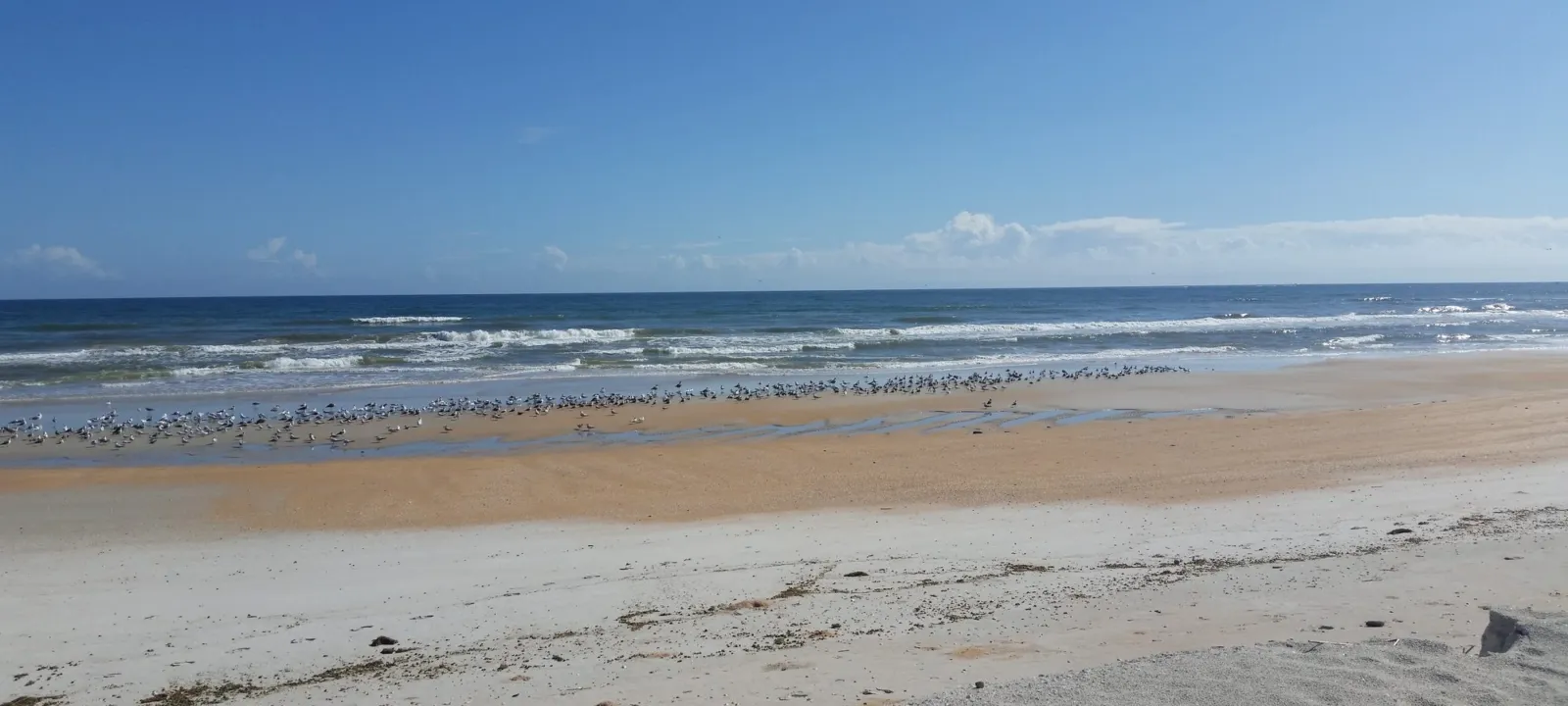 Dunes and a wide beach under a blue sky