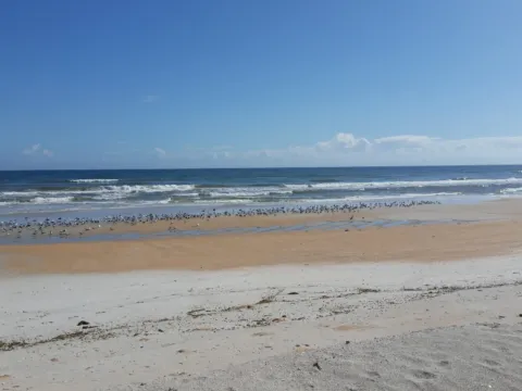 Dunes and a wide beach under a blue sky