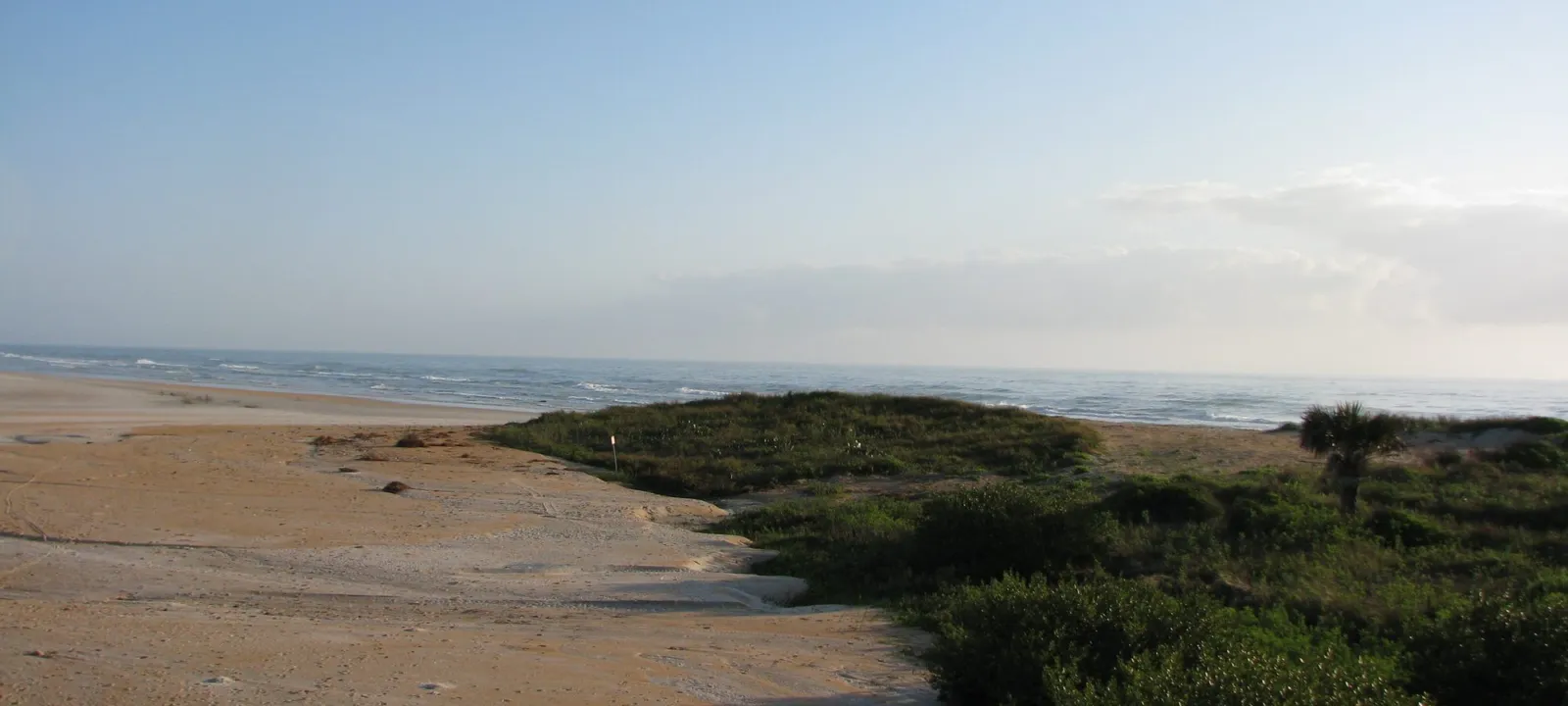 Dunes and scrub at the edge of the beach