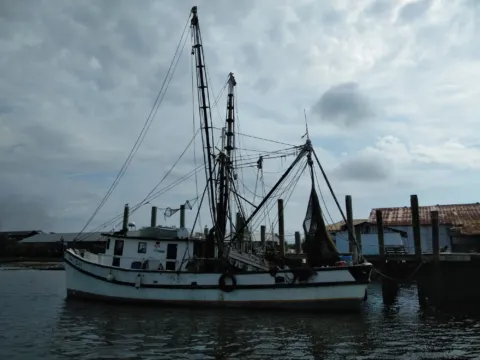 A white shrimp boat with tall rigging and hanging nets moored beside a tin-roofed dock building at Fernandina Beach.