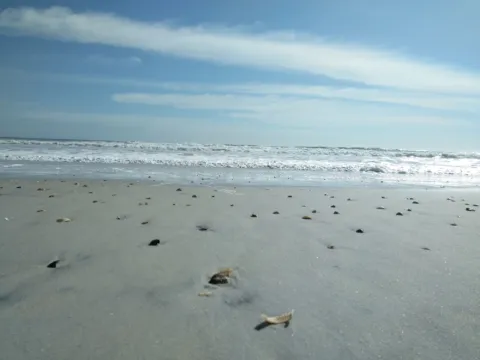 A flat, sandy beach at low tide.