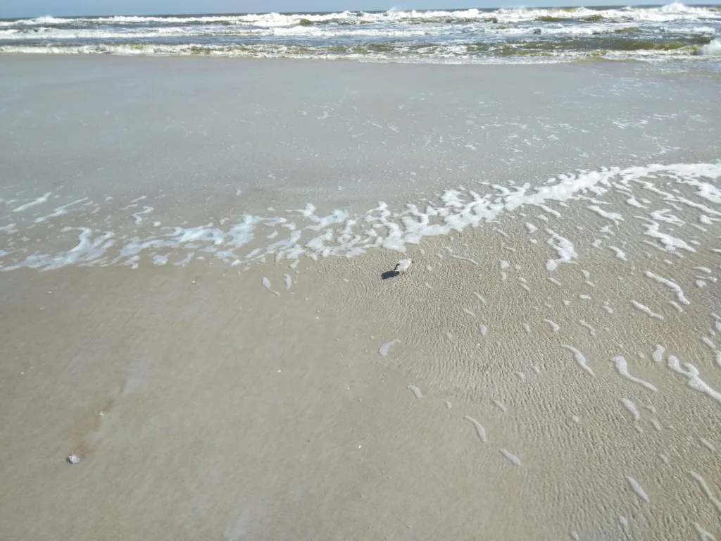Foamy surf spreading across wet sand.