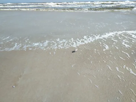 Foamy surf spreading across wet sand.