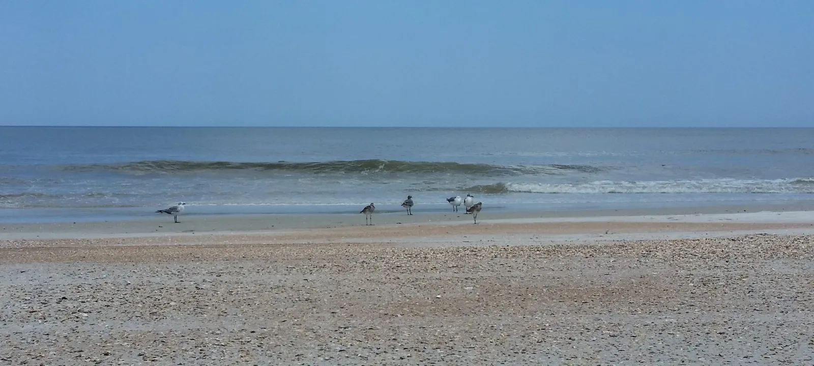 Gentle surf breaking along an open beach.