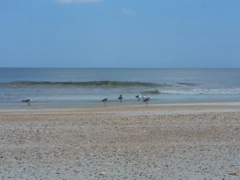 Gentle surf breaking along an open beach.