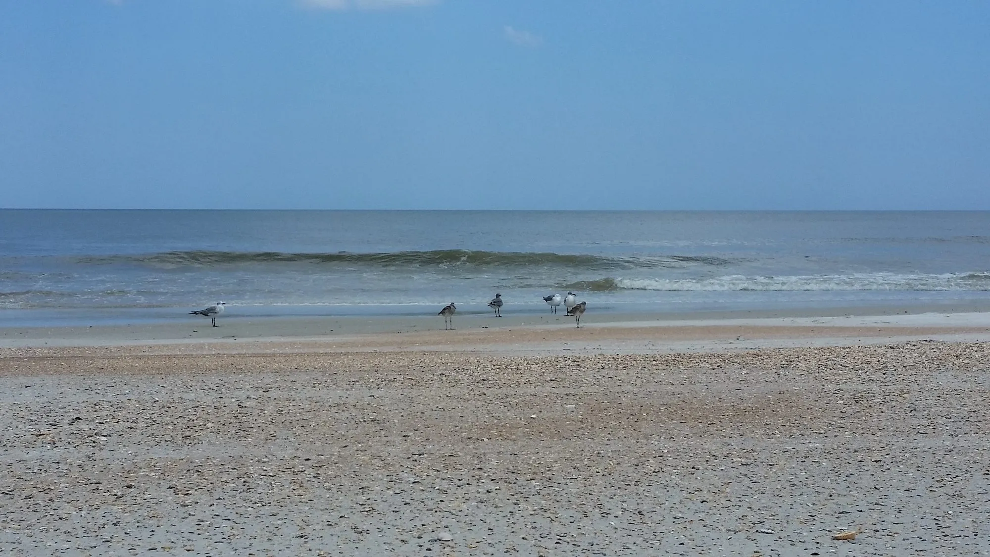 Gentle surf breaking along an open beach.