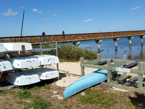 Kayaks and canoes pulled up on a sandy shore near the water.
