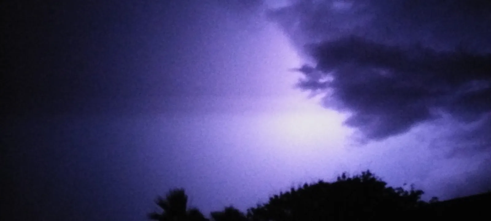 Lightning lighting up the night sky over trees.