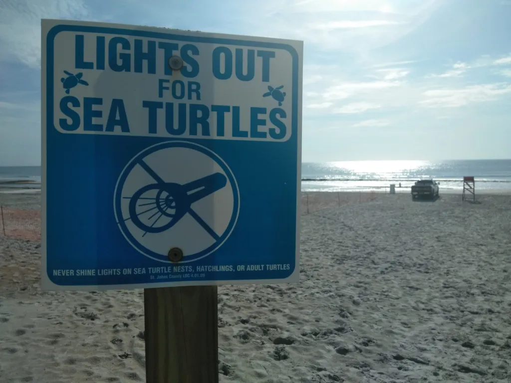 A blue and white beach sign reading LIGHTS OUT FOR SEA TURTLES with a crossed-out flashlight, standing on the sand with the ocean behind it.