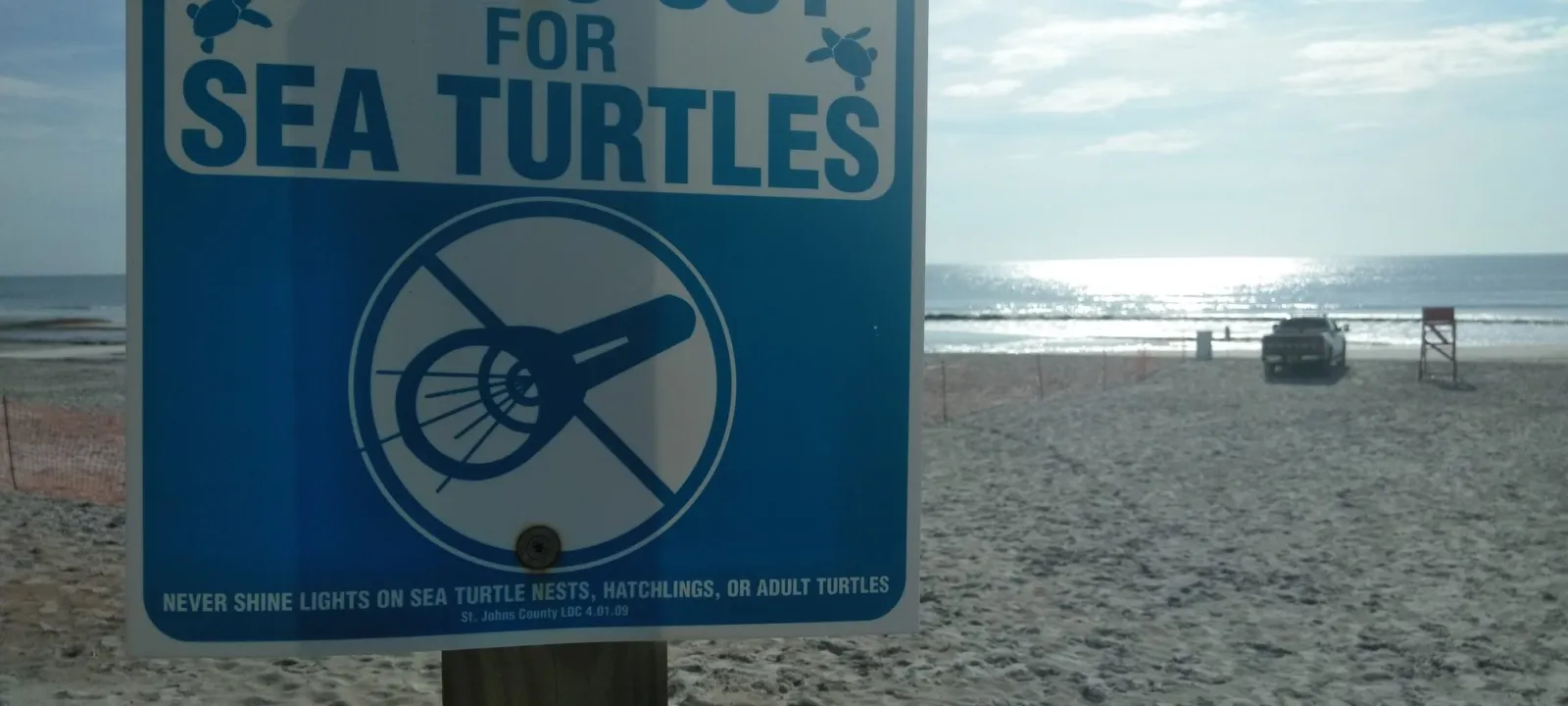 A blue and white beach sign reading LIGHTS OUT FOR SEA TURTLES with a crossed-out flashlight, standing on the sand with the ocean behind it.