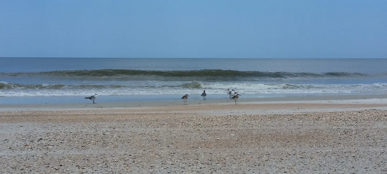 Low waves breaking along a quiet beach.