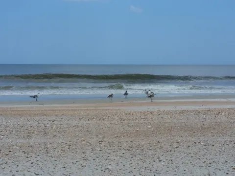 Low waves breaking along a quiet beach.