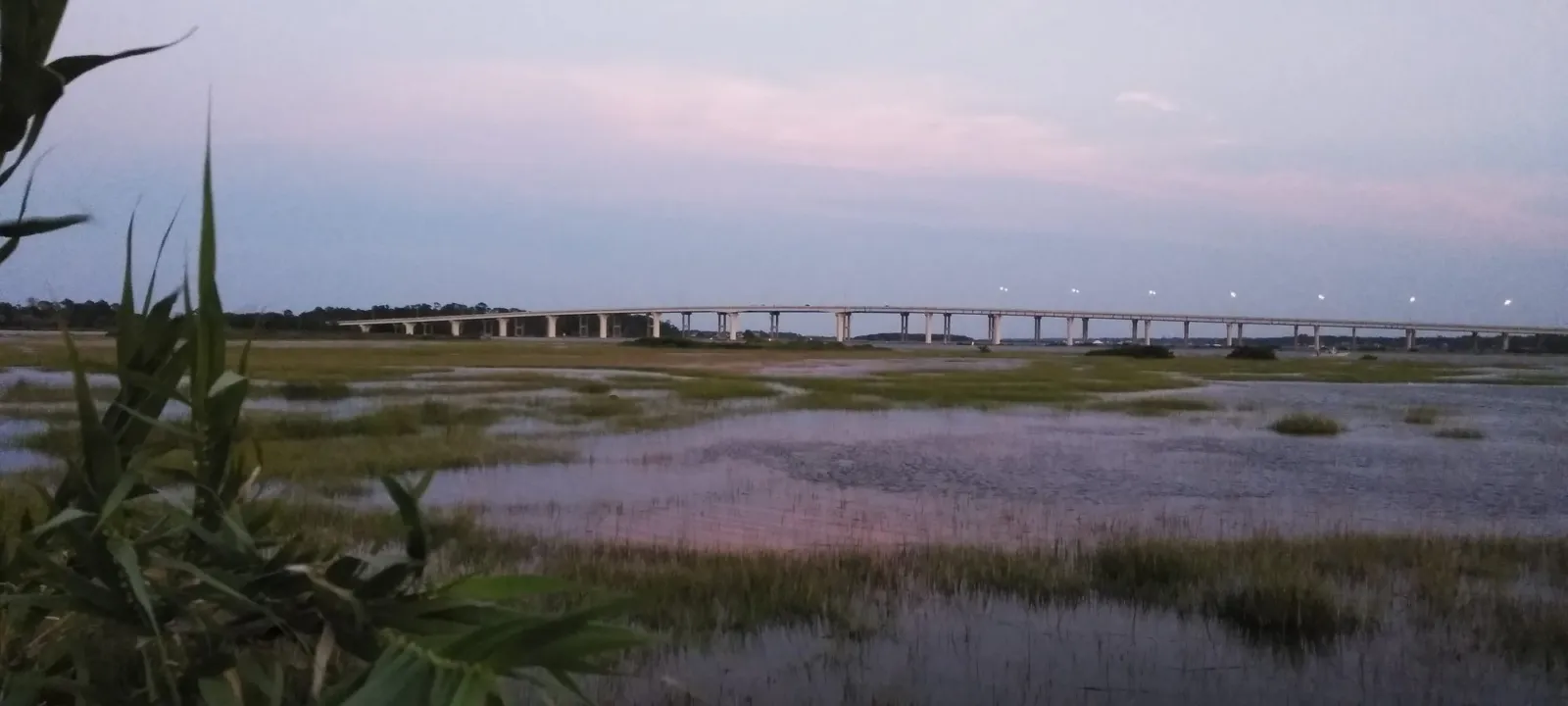 Salt marsh grasses and tidal pools under an evening sky.