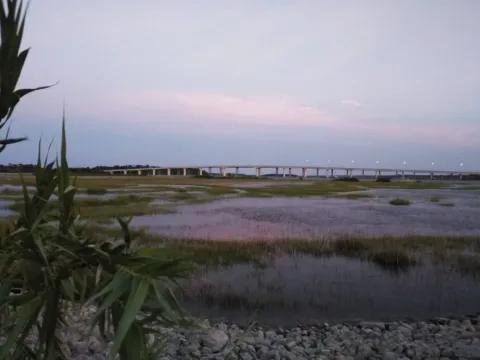 Salt marsh grasses and tidal pools under an evening sky.