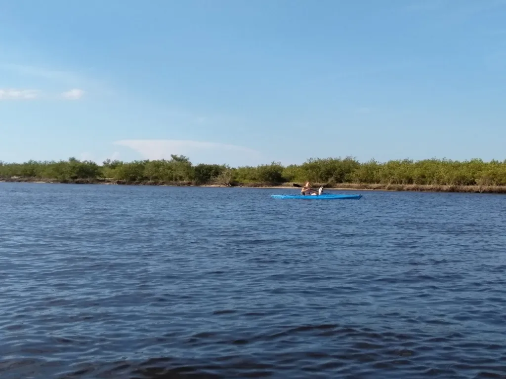 Open bay water under a blue sky