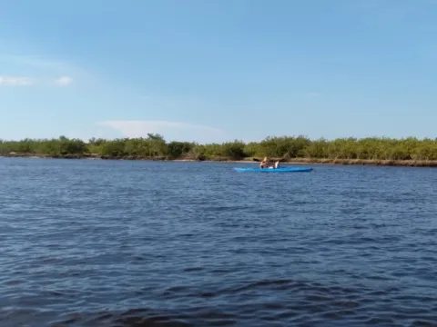 Open bay water under a blue sky