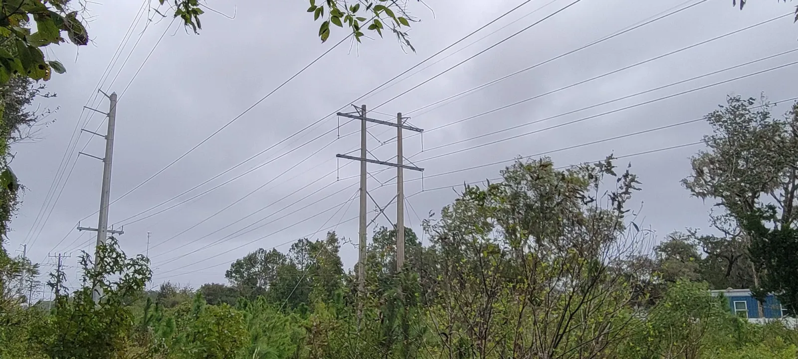 Open grassy field under a gray sky