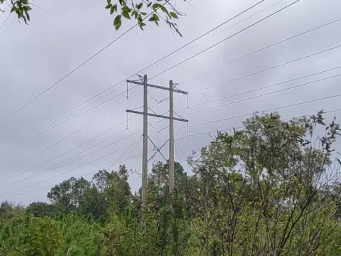 Open grassy field under a gray sky