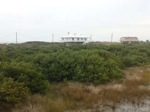 Open marsh and scrub under a gray sky