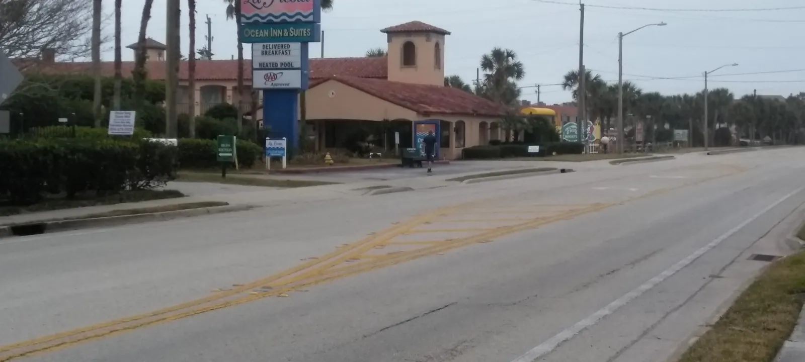 Palm trees lining a coastal Florida road