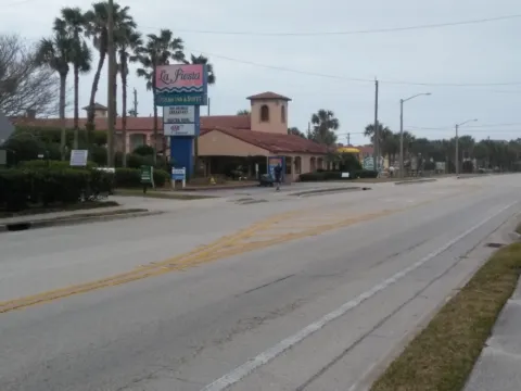 Palm trees lining a coastal Florida road