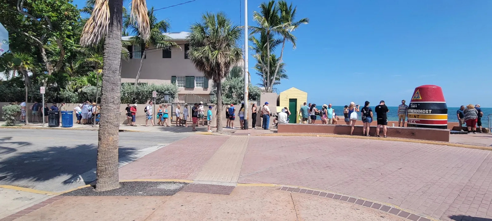 People walking down a palm-lined street in Key West