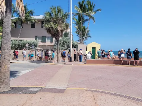 People walking down a palm-lined street in Key West