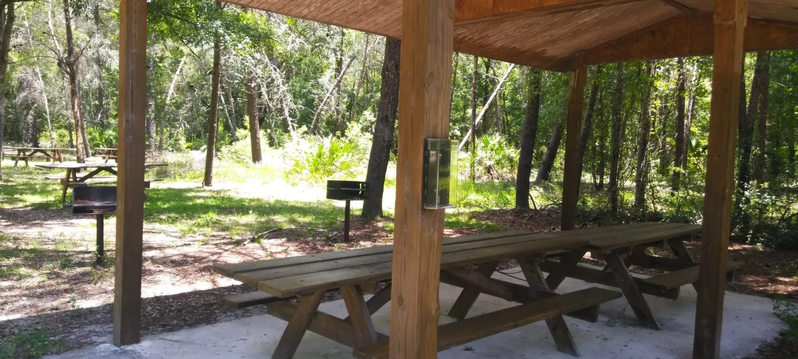 A covered picnic pavilion among shady trees in a park.