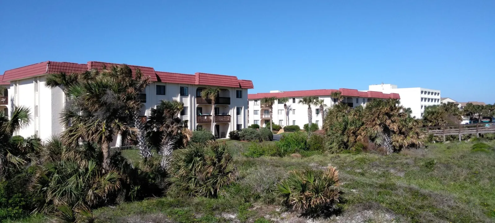 Resort buildings behind coastal scrub