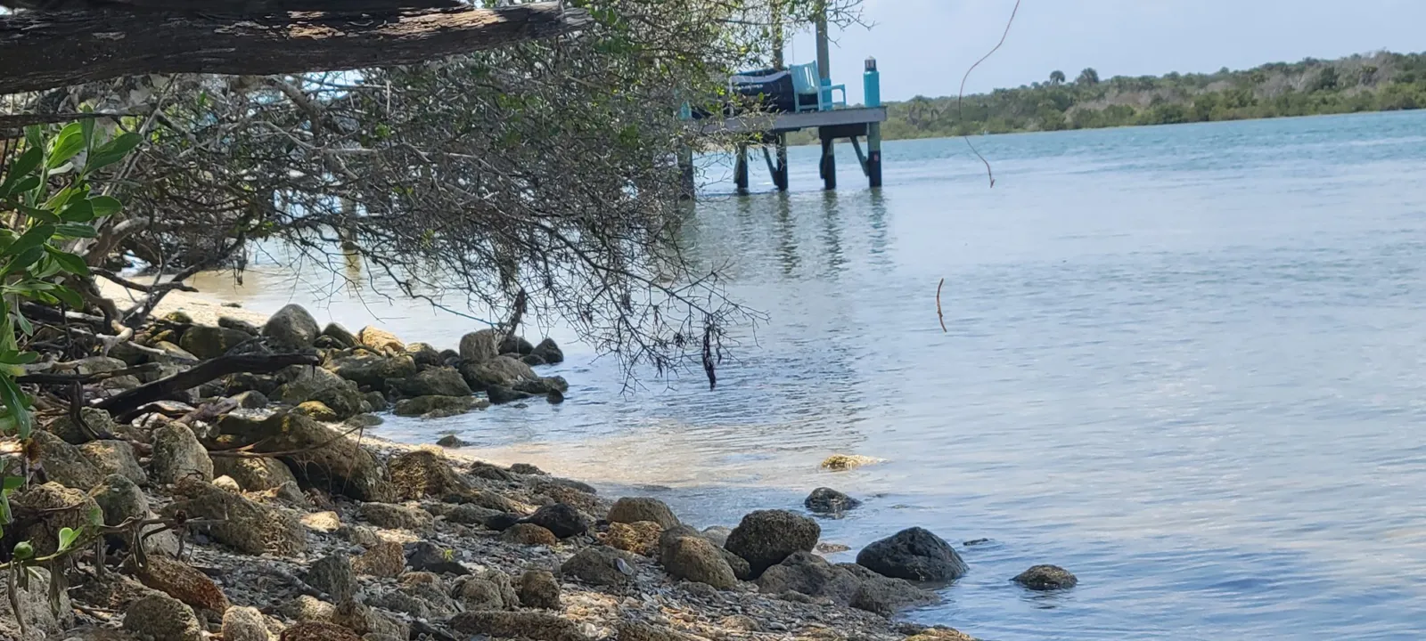 Rocky shoreline and mangroves along calm water