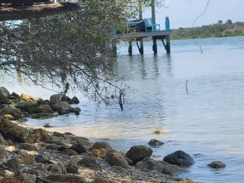 Rocky shoreline and mangroves along calm water