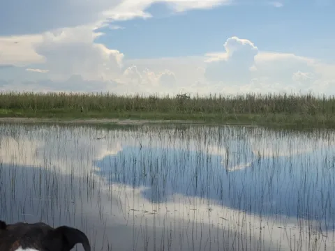 Sawgrass marsh and open water in the Everglades