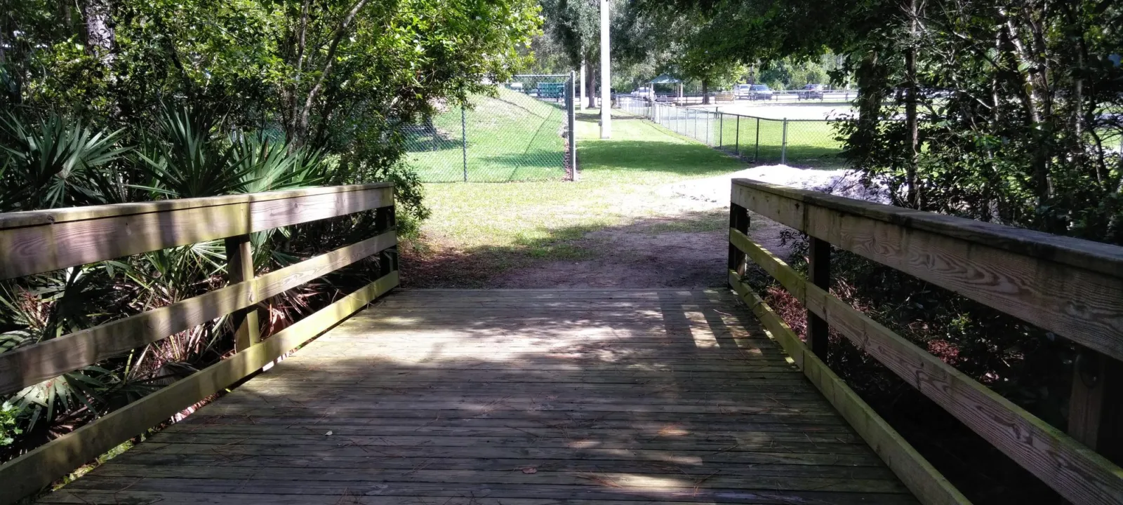 A shaded boardwalk trail through thick green woods.