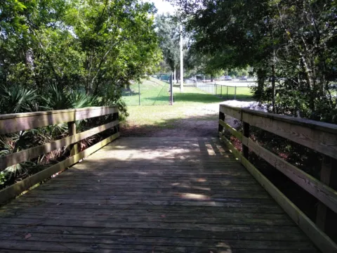 A shaded boardwalk trail through thick green woods.