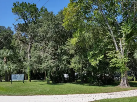 A grassy park lawn shaded by large trees.
