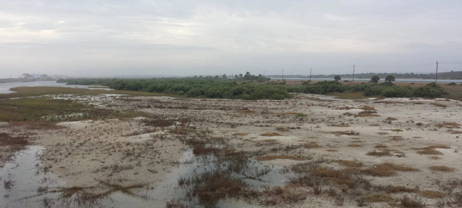 Shallow tidal flats at low tide