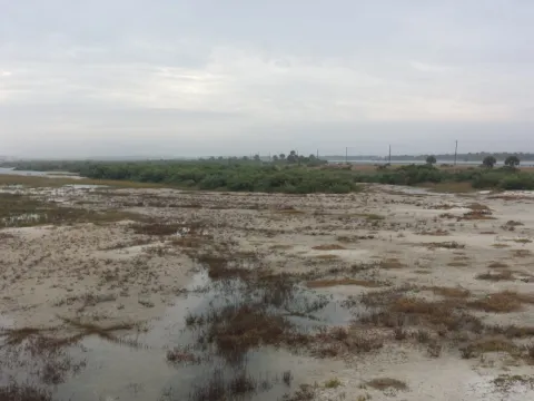 Shallow tidal flats at low tide