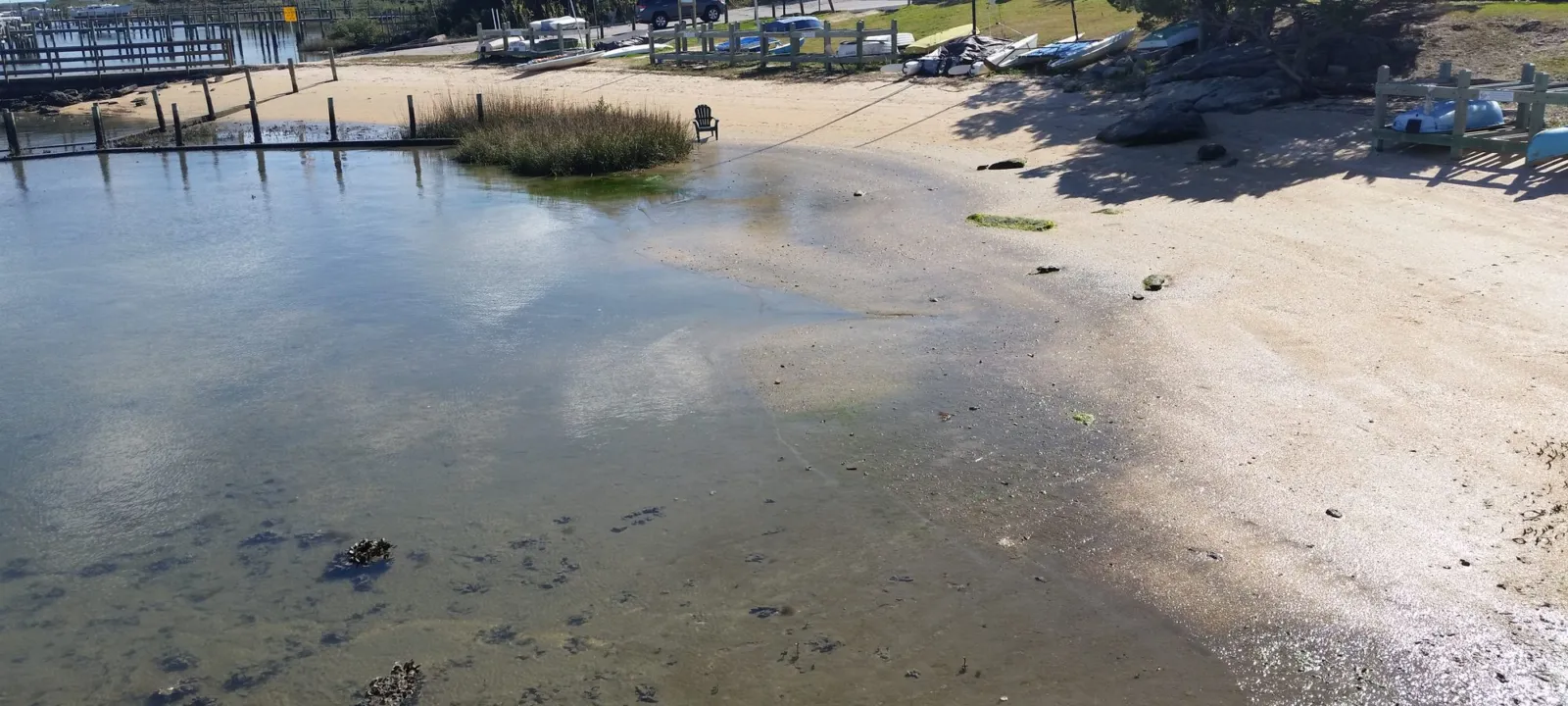 Clear shallow water lapping a sandy shore edged with trees.