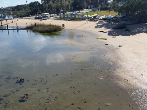 Clear shallow water lapping a sandy shore edged with trees.