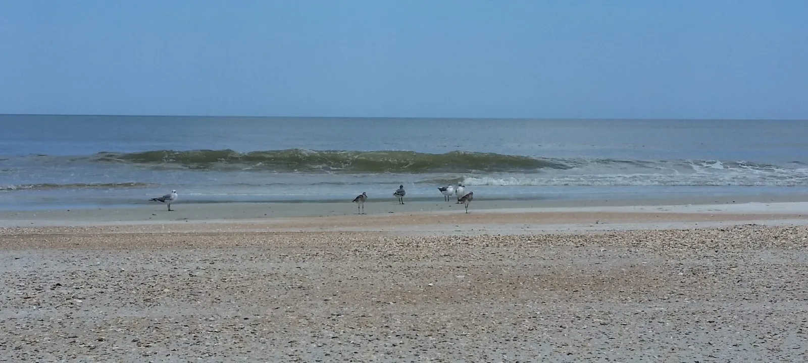 Small waves rolling onto an Atlantic beach