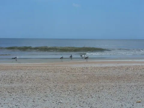 Small waves rolling onto an Atlantic beach
