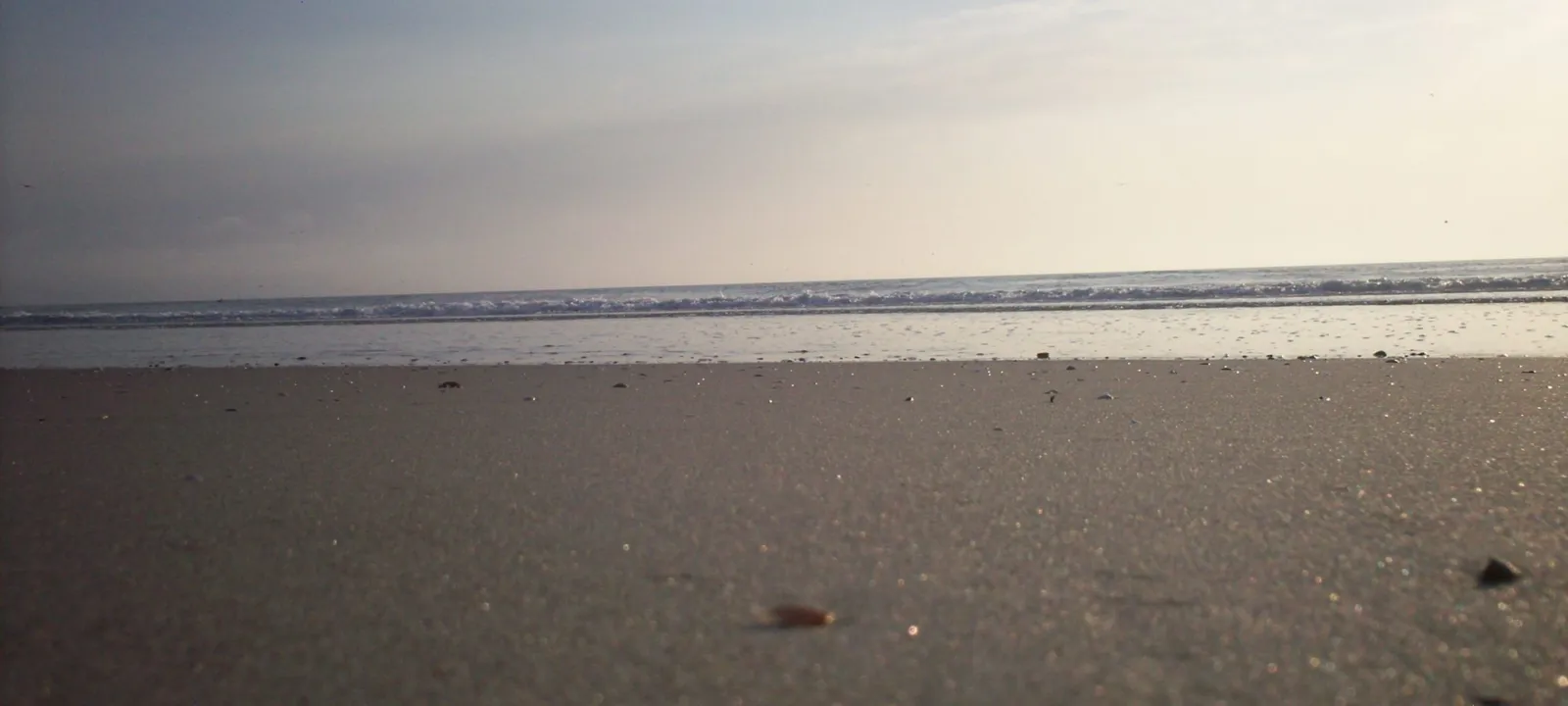 Soft morning light over the beach