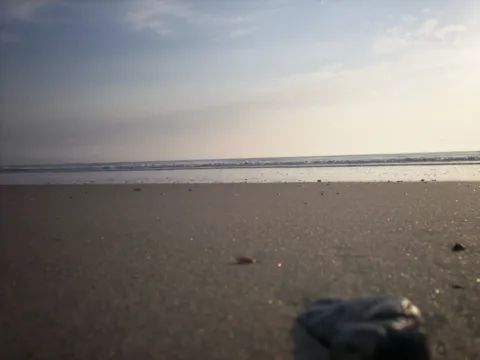 Soft morning light over the beach