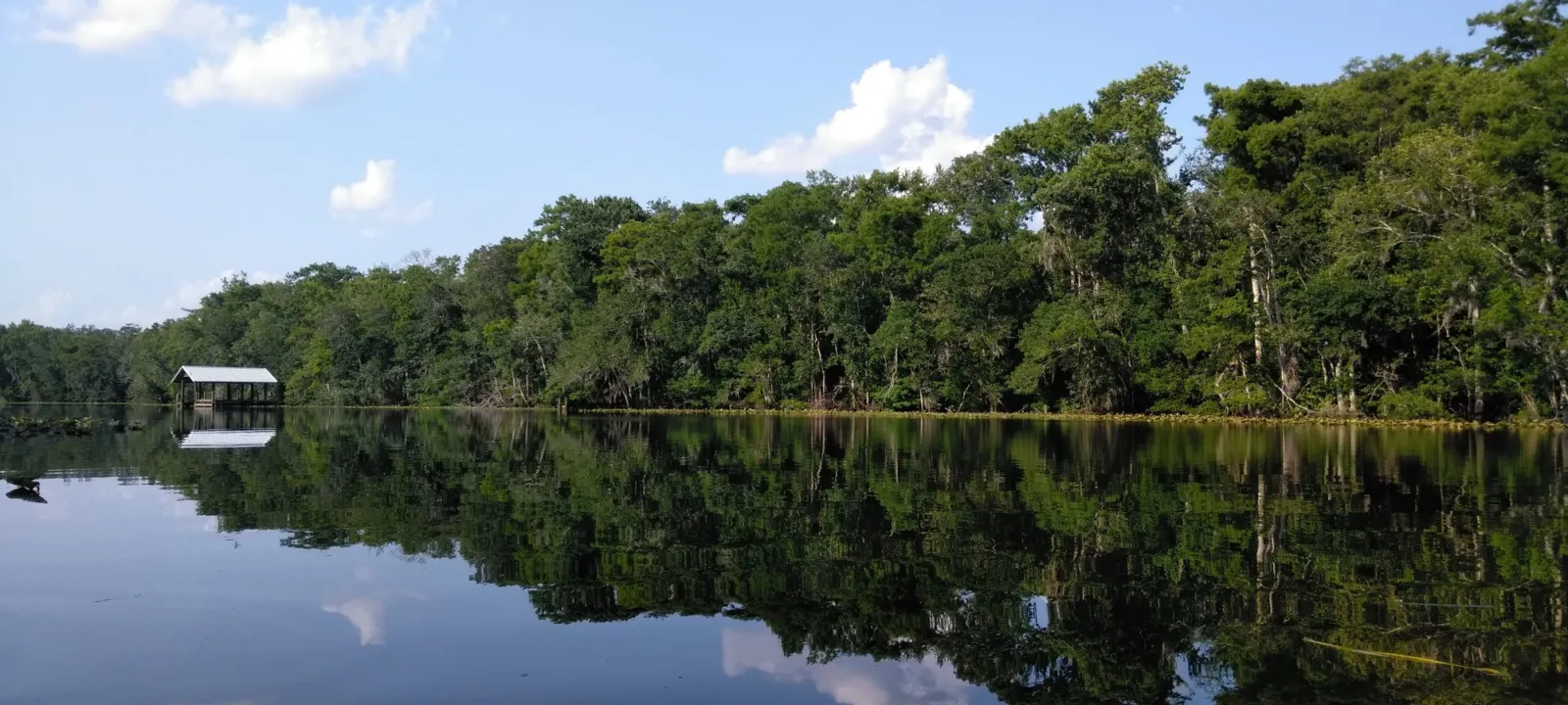 A quiet river lined with dense trees, reflected in still water under a blue sky.