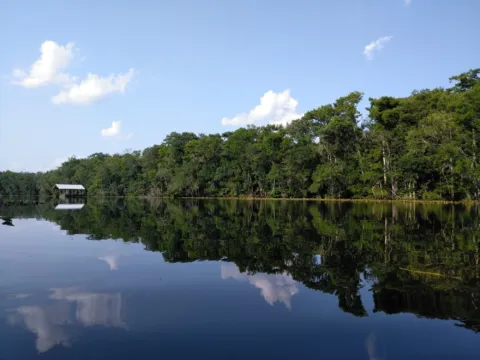 A quiet river lined with dense trees, reflected in still water under a blue sky.