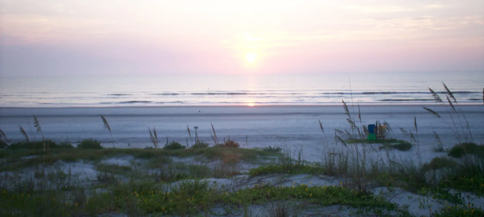 The sun rising over the ocean beyond dune grasses.