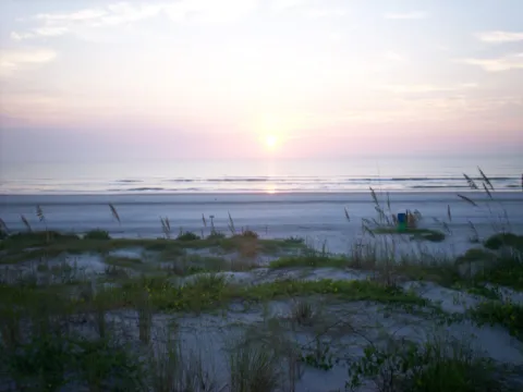 The sun rising over the ocean beyond dune grasses.