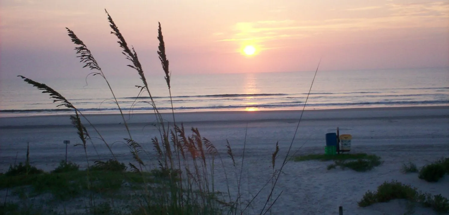 Sunrise over the ocean through sea oats