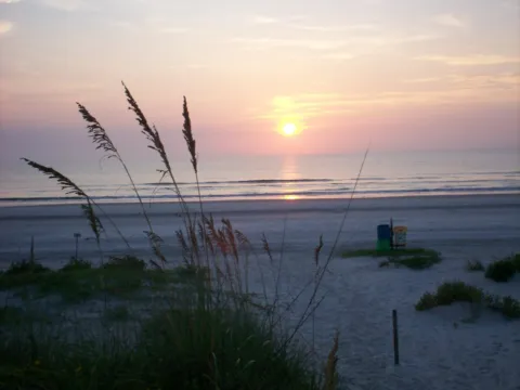 Sunrise over the ocean through sea oats